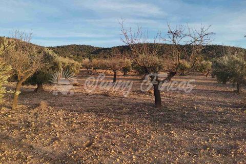 Grond in Biar, Alicante, Biar - € 65.000 | Ref: SF0442 - foto 14